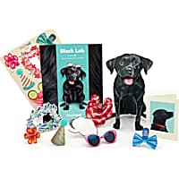 Freshcut Paper Black Lab Pop-Up Greeting Card