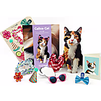 Freshcut Paper Calico Cat Pop-Up Greeting Card