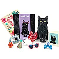 Freshcut Paper Black Cat Pop-Up Greeting Card