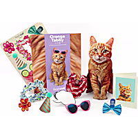 Freshcut Paper Orange Tabby Pop-Up Greeting Card