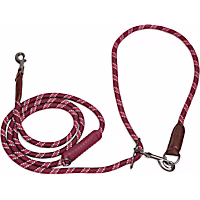 Reddy Hands-Free Rope Leash for Dogs