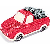 Petco Holiday Christmas Tree Truck Aquatic Decor