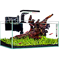 Imagitarium Shallow Glass Aquarium Kit with Lighting, Filtration & Accessories