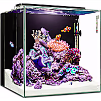 Imagitarium Cube Glass Aquarium Kit with Lighting, Filtration & Accessories