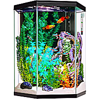 Imagitarium Hexagonal Glass Aquarium Kit with Lighting, Filtration & Accessories