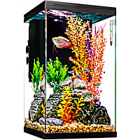 Imagitarium Column Glass Aquarium Kit with Lighting, Filtration & Accessories