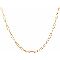 ETHICGOODS Thick Paperclip Chain Necklace