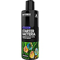 Waterbox Aquariums Freshwater Bacteria