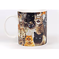 Gift Republic Crazy Cat Lady Mug