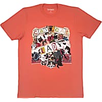 Zanden Crazy Cat Lady Adult Unisex T-Shirt