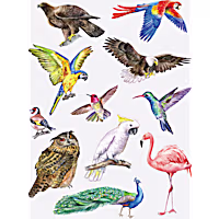 Nature Planet Birds Tattoo