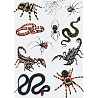 Nature Planet Insects & Reptille Tattoo