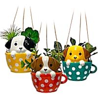 Dogs in Cups Mini Hanging Planters