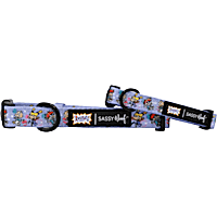 Sassy Woof Nickelodeon Rugrats Dog Collar