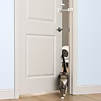 PetSafe Easy Latch Cat Door
