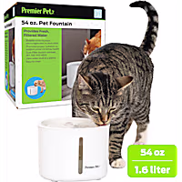 Premier Pet Fountain for Dogs