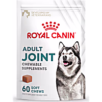 Royal Canin Joint Dog Supplement Soft Chews for Adult Dogs
