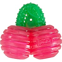 Outward Hound Gummiez Cherries 2-in-1 Dental Dog Chew Toy and Dog Treat Stuffer Game Cherry Scent for Dogs