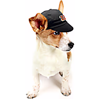Pets First NFL Pet Cap