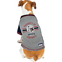 Pets First NFL Heather Grey Dog Tee Shirt