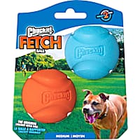 Chuckit! Fetch Ball Dog Toy
