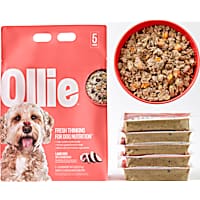 Ollie Fresh Lamb Dish with Cranberries Dog Food