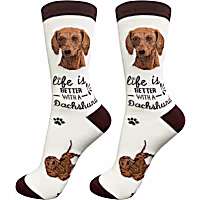 E&S Pets Red Dachsund Socks
