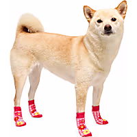 YOULY Gingham Flower Dog Socks
