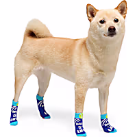 YOULY Ball Is Life Dog Socks