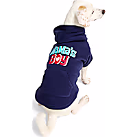 YOULY Mama's Boy Pet Hoodie