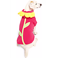 YOULY Flower Character Pet Hoodie