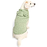 YOULY Teddy Bear Ears Pet Sweater
