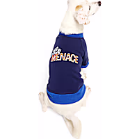 YOULY Little Menace Pet Crewneck