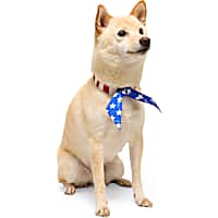 YOULY American Flag Tie Dog Bandana