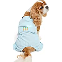 YOULY Easter Pet Overalls