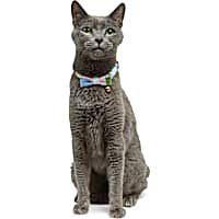 YOULY Easter Breakaway Cat Collar