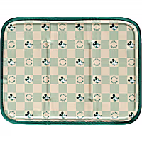 Green Pet Disney Mickey Mouse Cool Pet Pad