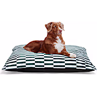 EveryYay Essentials Pillow Dog Bed