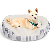 EveryYay Essentials Oval Cuddler Pet Bed