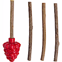 Catstages Red Dental Raspberry Teether with 4 Silvervine Sticks Included, Cat and Kitten Teething Toy