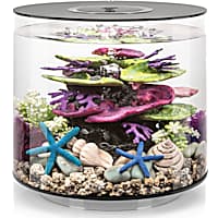 biOrb Black TUBE 15 Aquarium with Standard Light
