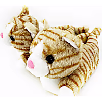 Petco 3D Cat Fuzzy Adult Slippers