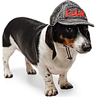 Reddy Rebel Embroidered Pet Hat