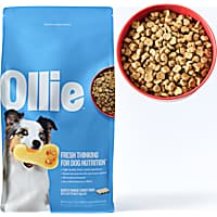 Ollie Baked Turkey Dish with Butternut Squash Dog Food
