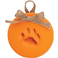 Pearhead Pet Diy Pawprints Pumpkin Ornament Kit for Dogs or Cats
