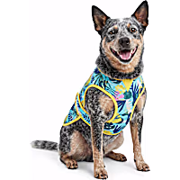 YOULY Cool-to-Touch Reversible Dog Vest