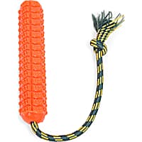 Leaps & Bounds Orange Glow in the Dark Bumper Dog Toy