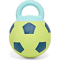 Leaps & Bounds Green Soccer Ball with Handle Dog Toy
