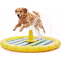 Leaps & Bounds Splash Pad Outdoor Toy for Dogs