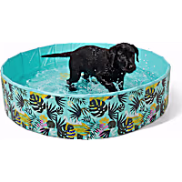 Leaps & Bounds Foldable Large Pool for Pets